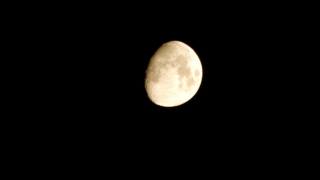 自分軸の十三夜